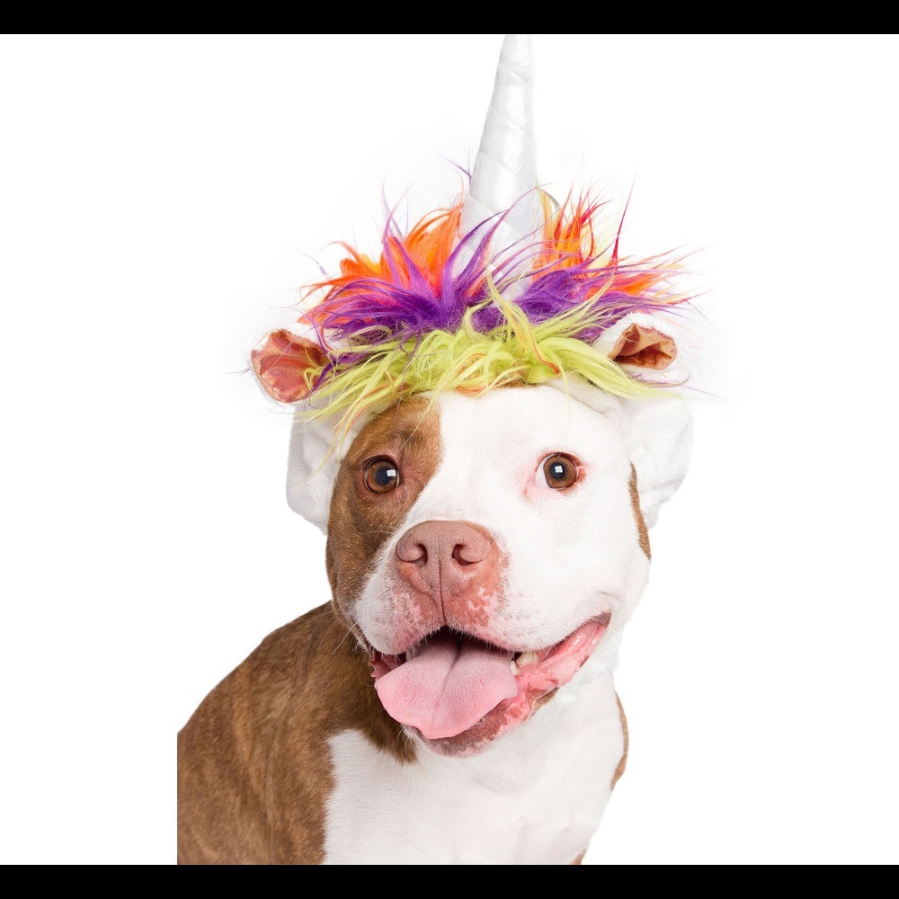 Pet Krewe Unicorn Costume